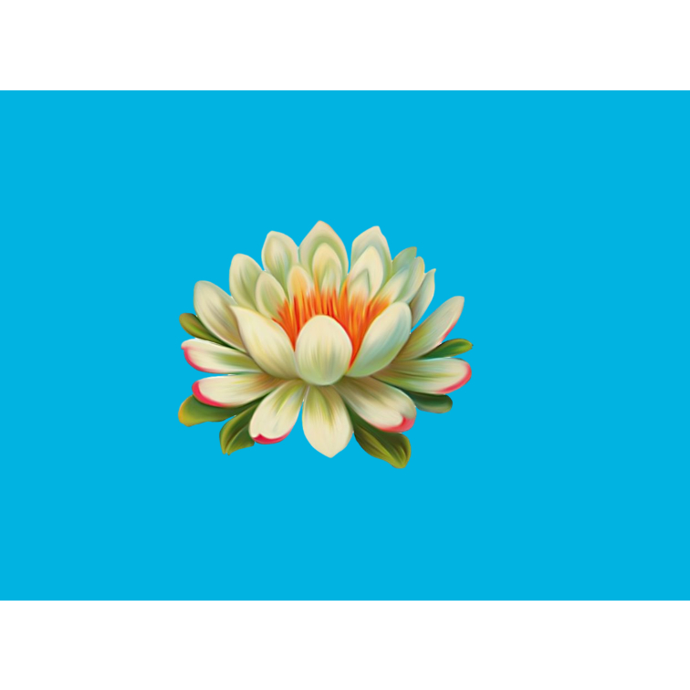 Hình ỦI ÉP NHIỆT-HÌNH HOA ỦI ÁO -ủi trực tiếp tại nhà bằng bàn ủi(THEO YÊU CẦU IN BOX SHOP) Gía khuyến mãi
