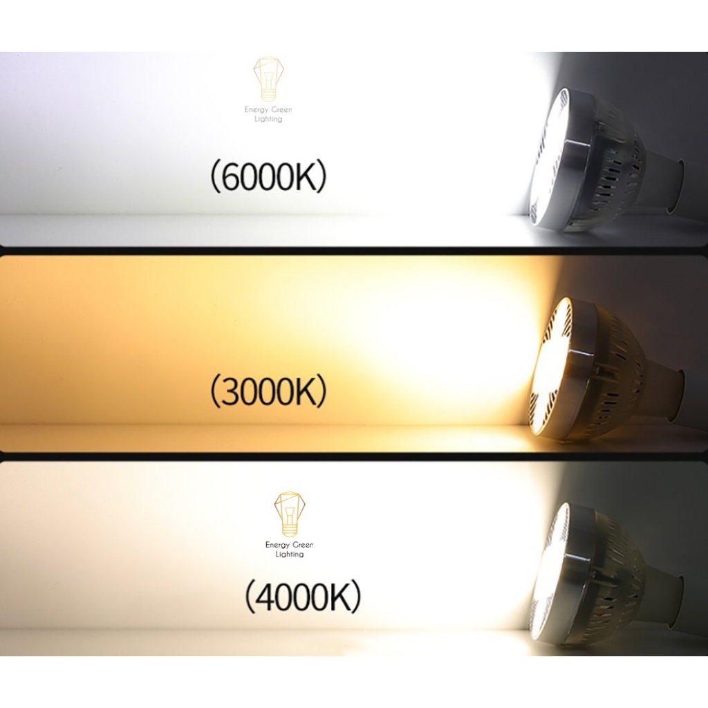 Ảnh Bóng Đèn LED Energy Green Lighting PAR30 - Rọi Điểm Soi Trang Trí Phòng Khách / Phòng Ăn - BH 2 Năm 2