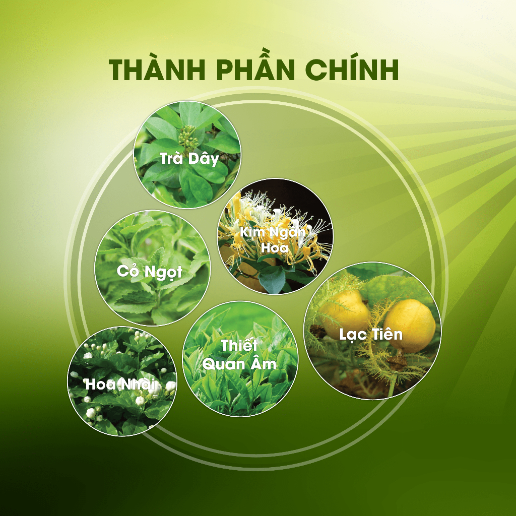 Trà Thảo Dược Hãng Hoàng Thảo Mộc Hỗ Trợ Giảm Cân