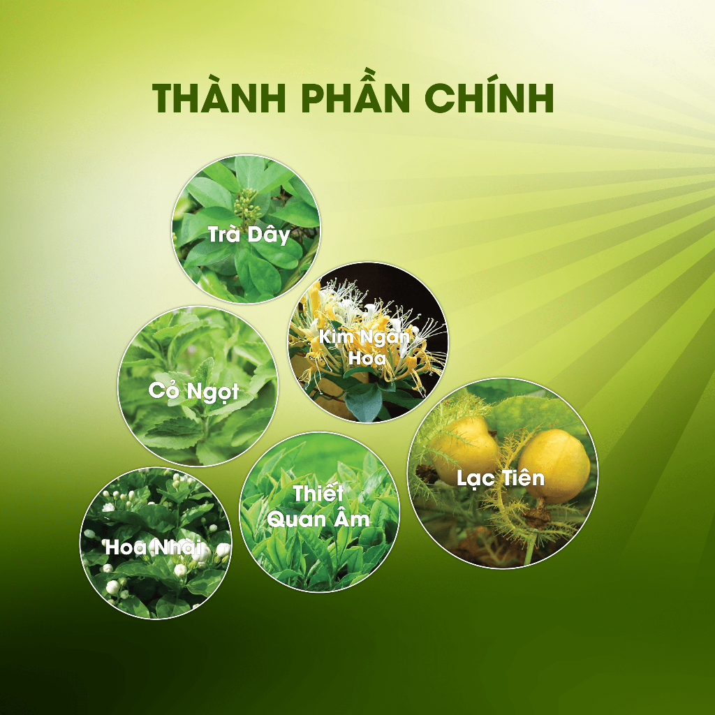 Trà Hoàng Thảo Mộc túi lọc