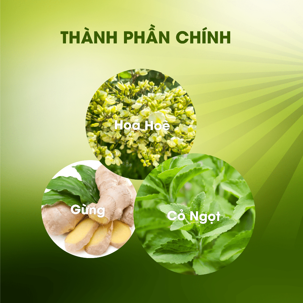 Trà Gừng Giải Cảm Lạnh Trà Hoàng Thảo Mộc