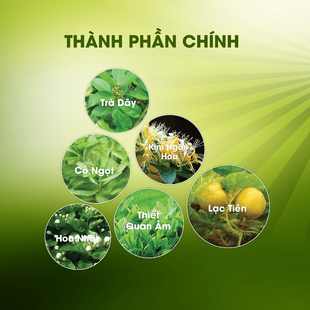 Trà Hoàng Thảo Mộc Hỗ Trợ Ngủ Ngon