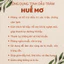 Tinh dầu Tràm - Sả - Quế nguyên chất HUẾ MƠ - Chai 500ml
