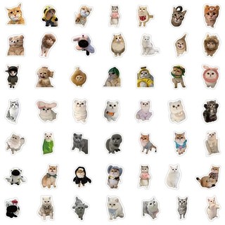 Set 20/60/ 100 sticker mèo cute meme dán nón mũ bảo hiểm laptop vali sổ tay đàn guitar điện thoại xe máy tủ lạnh