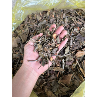 1kg Tang Kí Sinh
