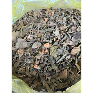 1kg Tang Kí Sinh