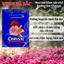 Dưỡng Hoa Lâu Tàn Chrysal - Chất dưỡng hoa tươi lâu dành cho hoa bình, không hư nước (gói 5 gram)