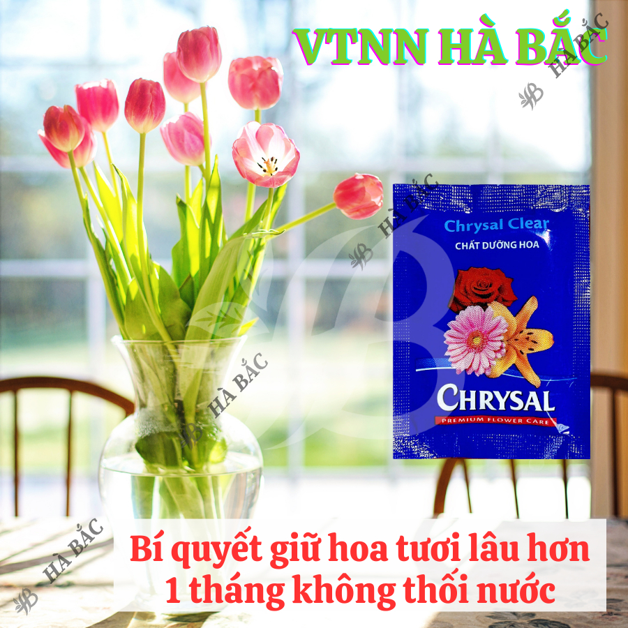 [COMBO 2 GÓI] Dưỡng Hoa Lâu Tàn Chrysal - Chất dưỡng hoa tươi lâu dành cho hoa bình, không hư nước (gói 5 gram)