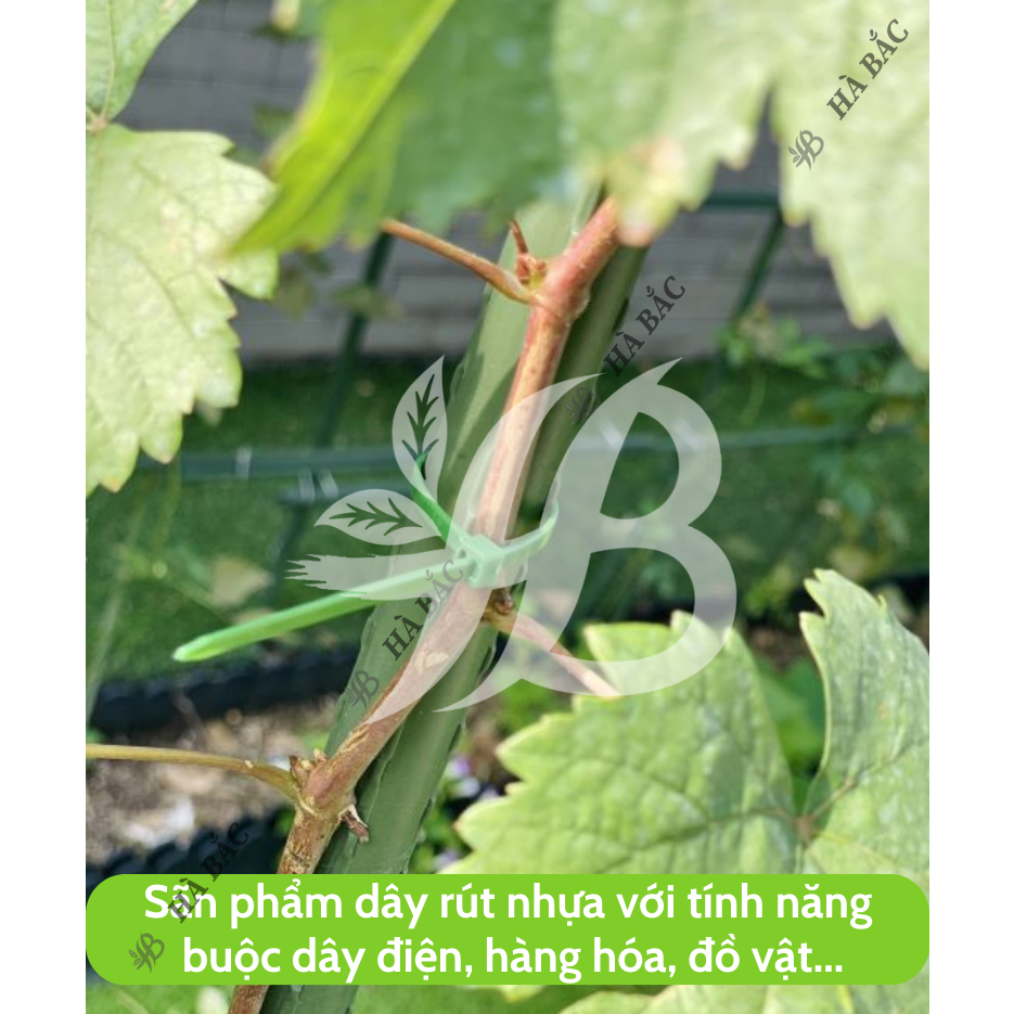 Dây Rút Nhựa trắng nhiều kích thước (40 sợi) - dây thít nhựa cố định cành, cột giàn làm vườn