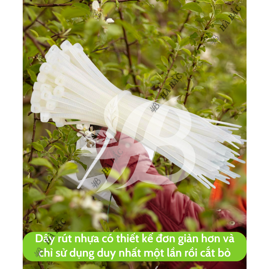 Dây Rút Nhựa trắng nhiều kích thước (40 sợi) - dây thít nhựa cố định cành, cột giàn làm vườn