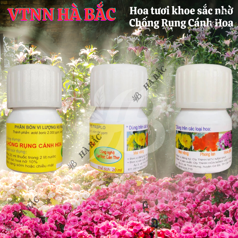 Chất Chống Rụng Cánh Hoa Mai – Đại Học Cần Thơ - Giúp Hoa Mai Lâu Tàn Sau Khi Nở Hoa (Hũ 20ml)