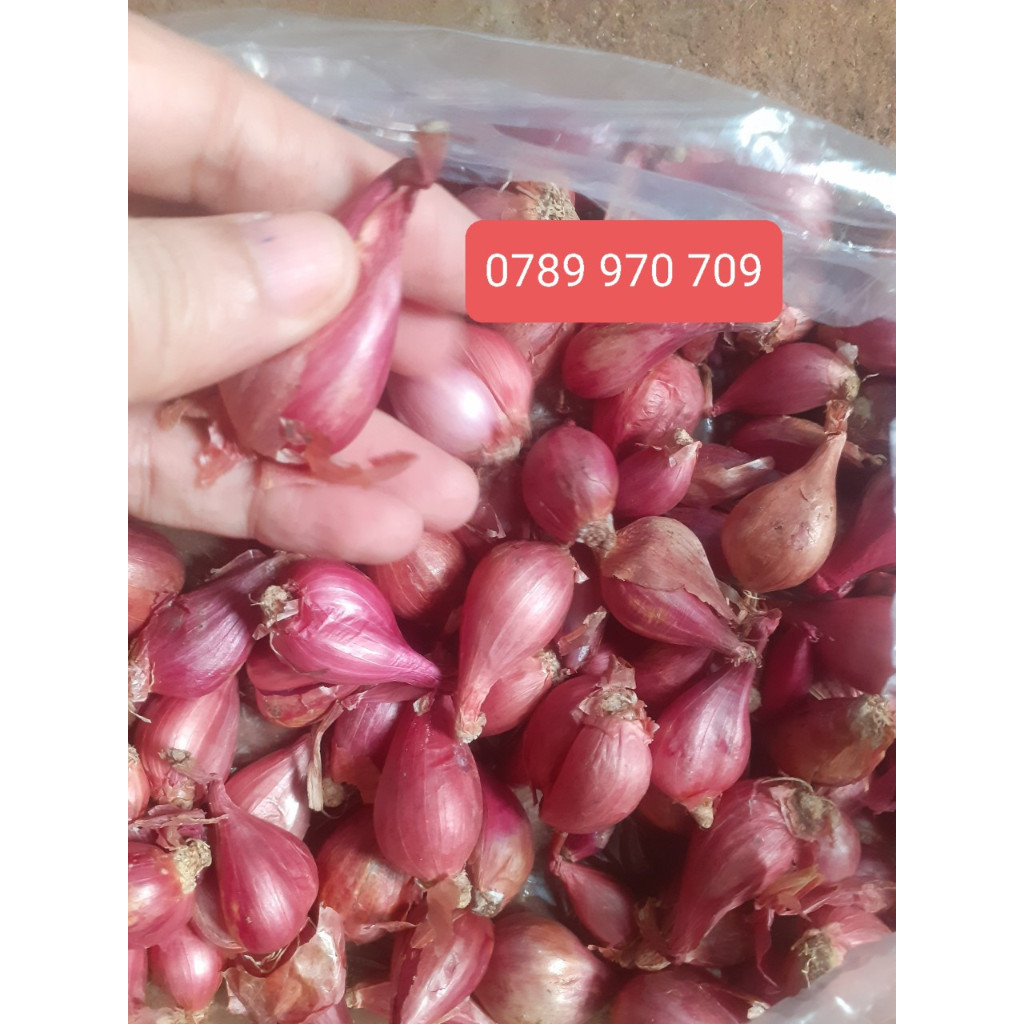 Hành tím Lý Sơn Mùi thơm đặc trưng Sử Dụng, Thêm Hương Vị cho món ăn