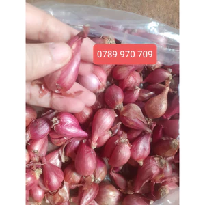 Hành tím Lý Sơn Mùi thơm đặc trưng Sử Dụng, Thêm Hương Vị cho món ăn