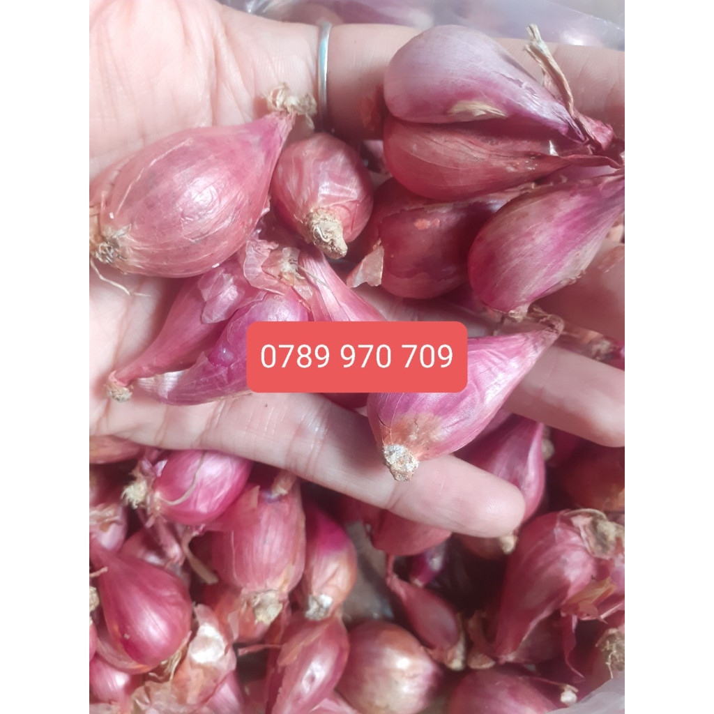 Hành tím Lý Sơn Mùi thơm đặc trưng Sử Dụng, Thêm Hương Vị cho món ăn