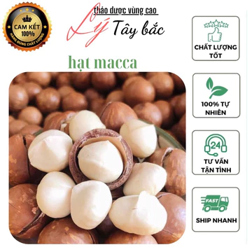 [HẠT SIÊU LỚN] Hạt Macca nứt vỏ LAI CHÂU sấy lạnh giàu dinh dưỡng không hôi dầu 500g