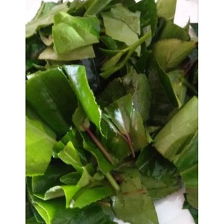 Lá chè xanh Thái Nguyên tươi .