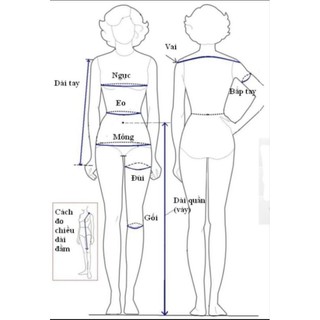 Đầm xanh công sở xanh da trời SLNY