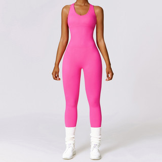 Bộ đồ tập thể thao gym,yoga nữ liền thân chất dệt kim(suit100)