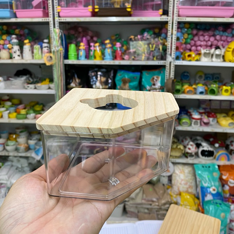 Hộp trong suốt đựng nước, rêu, cát cho ốc rụt rè, ốc mượn hồn, cua ẩn ...