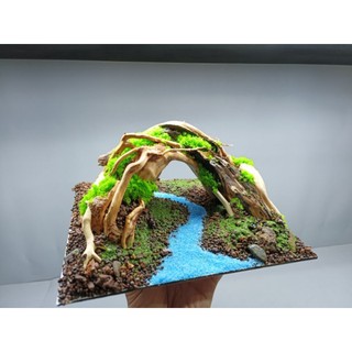 Mẫu Layout " Vòm" Dành cho bể cá cảnh, bể thủy sinh mini, cubic, beta từ 25 đến 40 cm