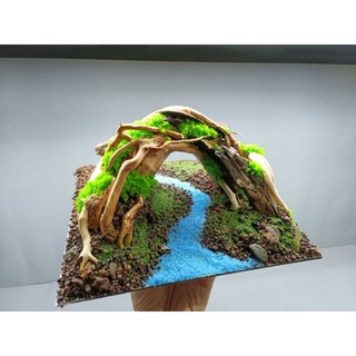 Mẫu Layout " Vòm" Dành cho bể cá cảnh, bể thủy sinh mini, cubic, beta từ 25 đến 40 cm