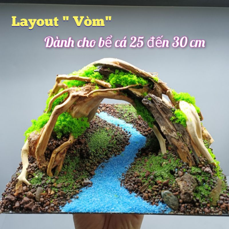 Mẫu Layout 