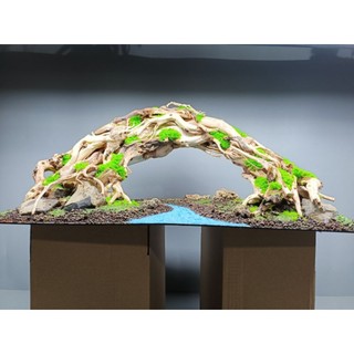 Layout " Vòm" dành cho bể cá cảnh, bể thủy sinh kích thước lớn 80 cm trở lên