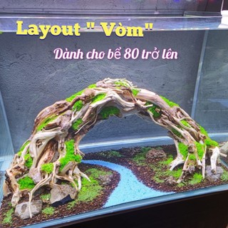 Layout " Vòm" dành cho bể cá cảnh, bể thủy sinh kích thước lớn 80 cm trở lên