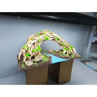 Layout " Vòm" dành cho bể cá cảnh, bể thủy sinh kích thước lớn 80 cm trở lên