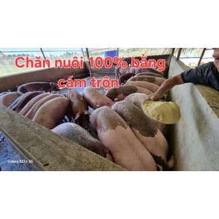 Combo 2 lít en tỏi vi sinh, bổ sung lợi khuẩn, tăng đề kháng miễn dịch cho vật nuôi