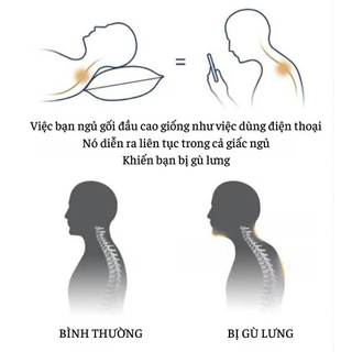 Gối công thái học M2T BEDDING ruột bông gòn trắng kháng khuẩn loại 1 - nặng 1kg/1 chiếc