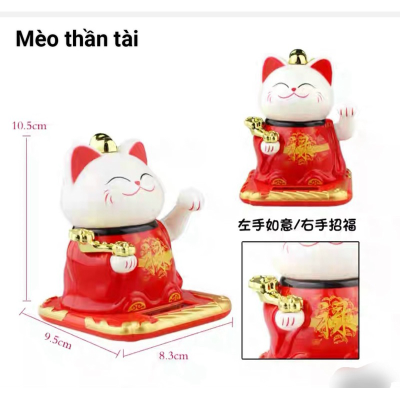 Mèo Thần Tài năng lượng