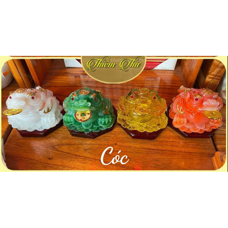 Cóc ( Thiềm Thừ ) chiêu tài lộc 🌸🌸