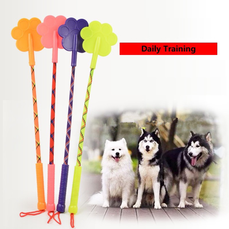 Daily Training Roi huấn luyện thú cưng