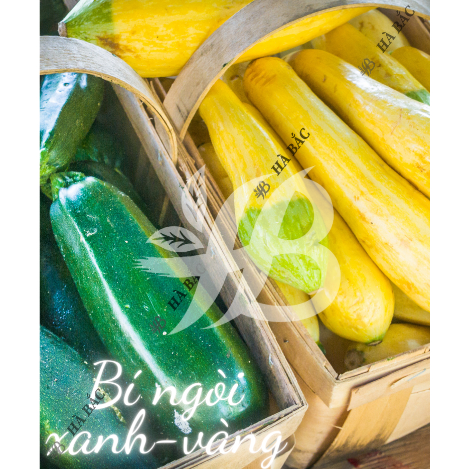 Hạt Giống Các Loại Bầu - Bí Trang Nông, Trồng Quanh Năm, Sinh Trưởng Mạnh, Trái To, Dài - Hạt Giống Rau Củ Trang Nông