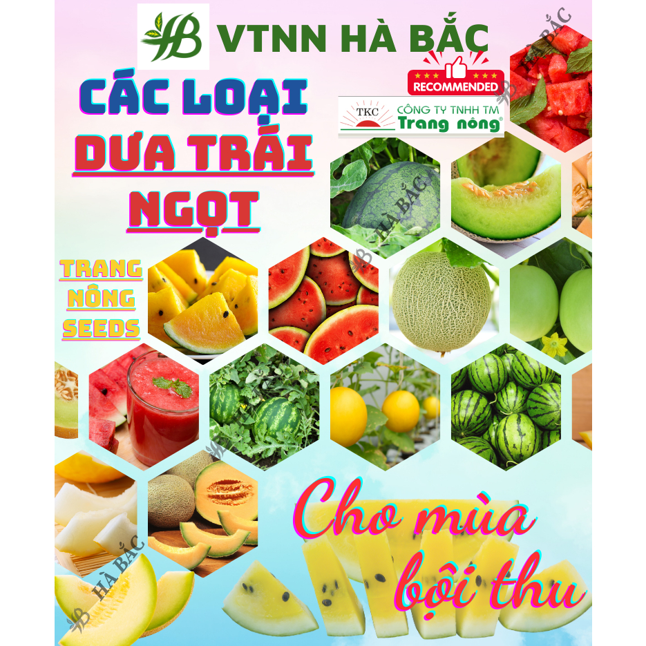 Hạt Giống Các Loại Dưa hấu, Dưa lê Trang Nông Trồng Quanh Năm, Ra Trái Ngọt, Sai Trái - Hạt Giống Rau Củ Quả Trang Nông