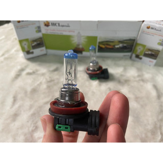 Bóng đèn pha ô tô, bóng H11 HCL điện 12v /24v