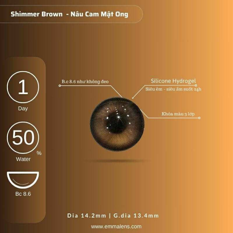 🌸 Kính áp tròng 1 ngày Shimmer Brown  - Lens 1 ngày nâu câm mật ong giãn nhẹ/Emma Lens 🌸