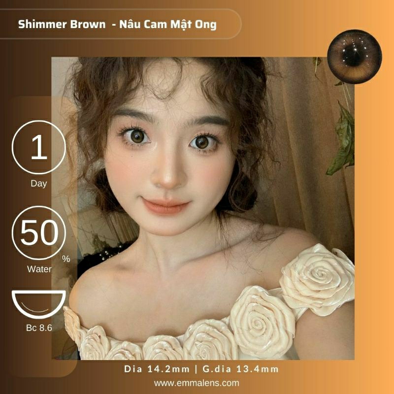 🌸 Kính áp tròng 1 ngày Shimmer Brown  - Lens 1 ngày nâu câm mật ong giãn nhẹ/Emma Lens 🌸