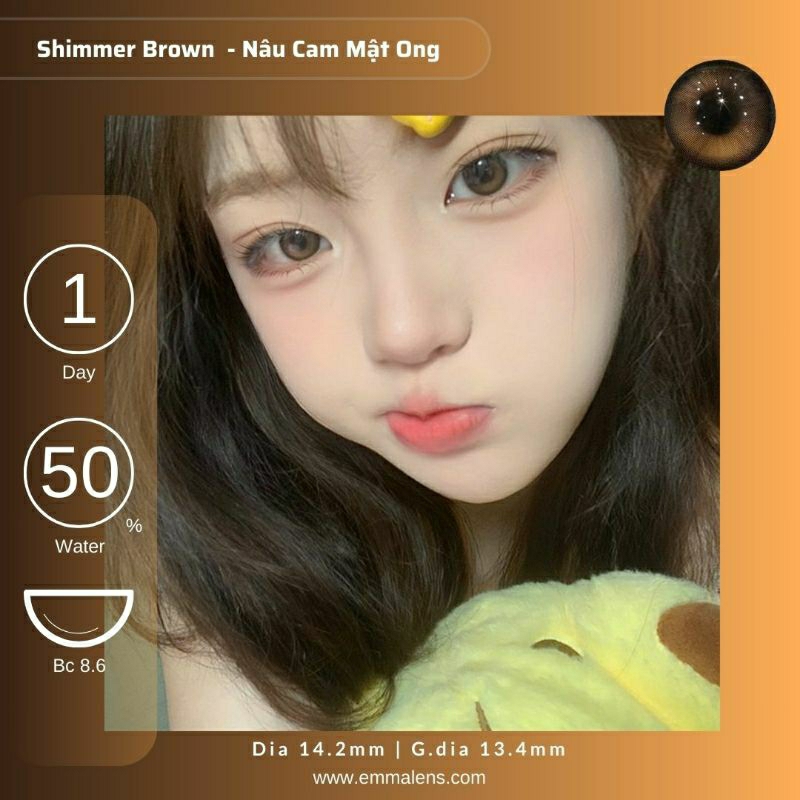 🌸 Kính áp tròng 1 ngày Shimmer Brown  - Lens 1 ngày nâu câm mật ong giãn nhẹ/Emma Lens 🌸