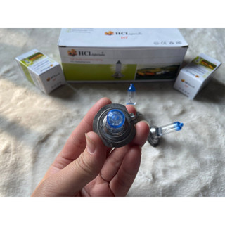 Bóng đèn pha ô tô, bóng H7 HCL điện 12v và 24v.