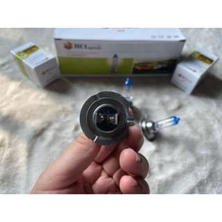 Hộp 10 Bóng đèn pha ô tô, bóng H7 HCL điện 12v và 24v.