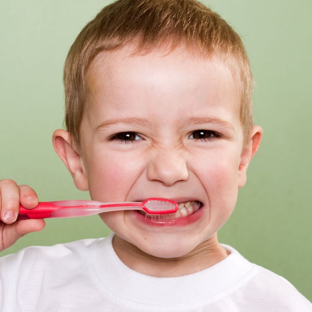 Bàn Chải Đánh Răng Cho Bé Annecy Kids Màu Hồng Động Vật (Set 2 Cây)