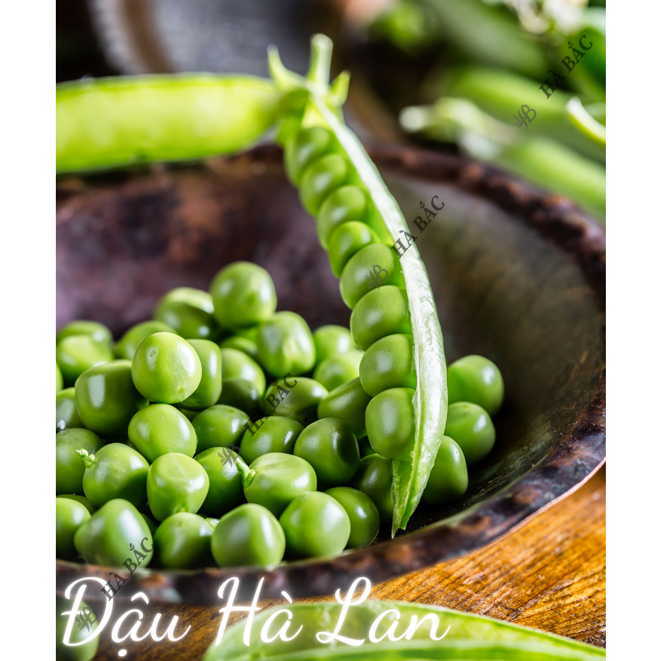 Hạt Giống Các Loại Đậu Trang Nông, Dễ Trồng, Trái To, Trái Dài, Siêu Trái, Trồng Chậu Hoặc Leo Giàn - Hạt giống tốt
