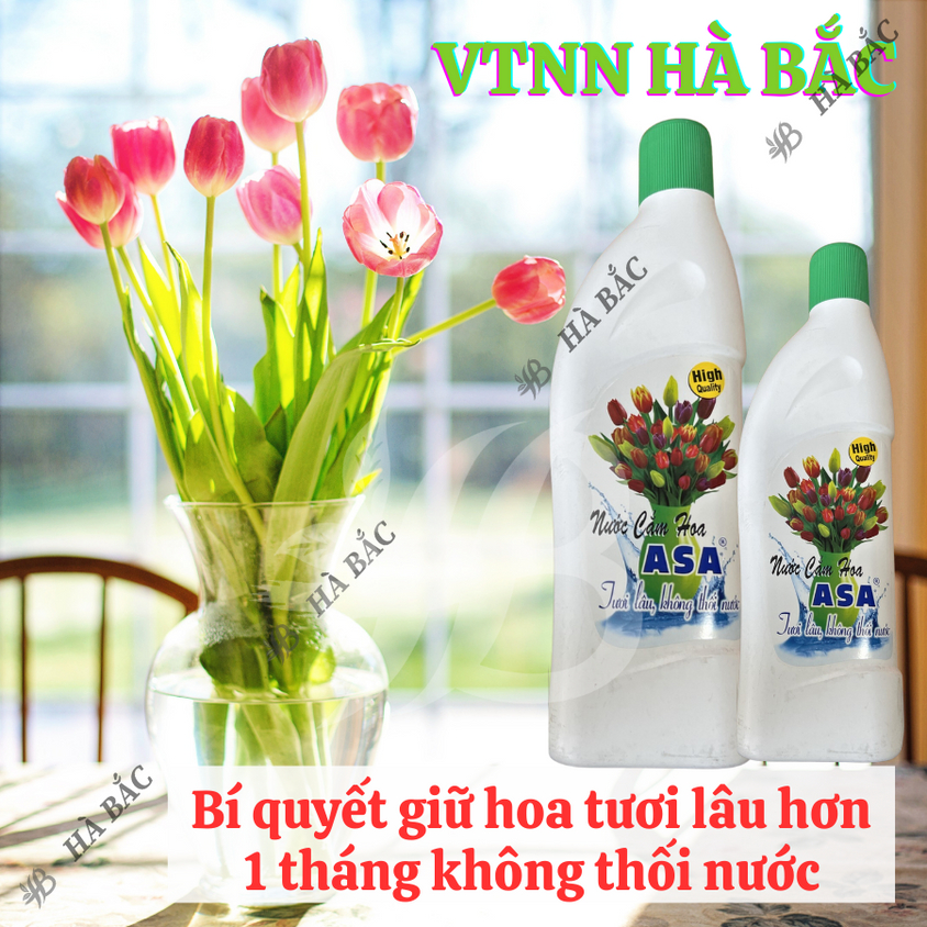 Nước cắm hoa giữ hoa tươi lâu không thối nước ASA - Tiện dụng cho ngày tết (Chai 200ml, 400ml)