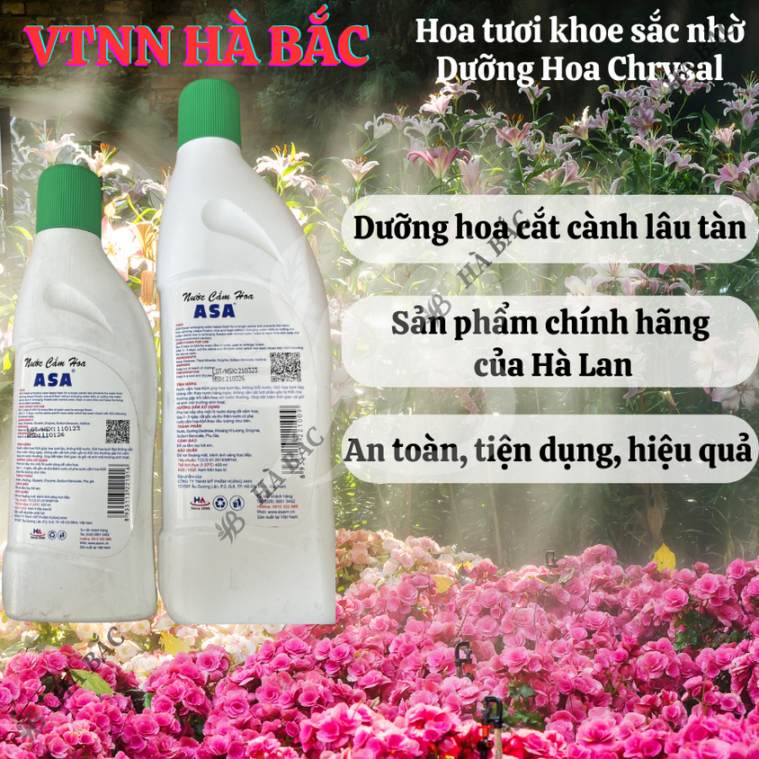 Nước cắm hoa giữ hoa tươi lâu không thối nước ASA - Tiện dụng cho ngày tết (Chai 200ml, 400ml)