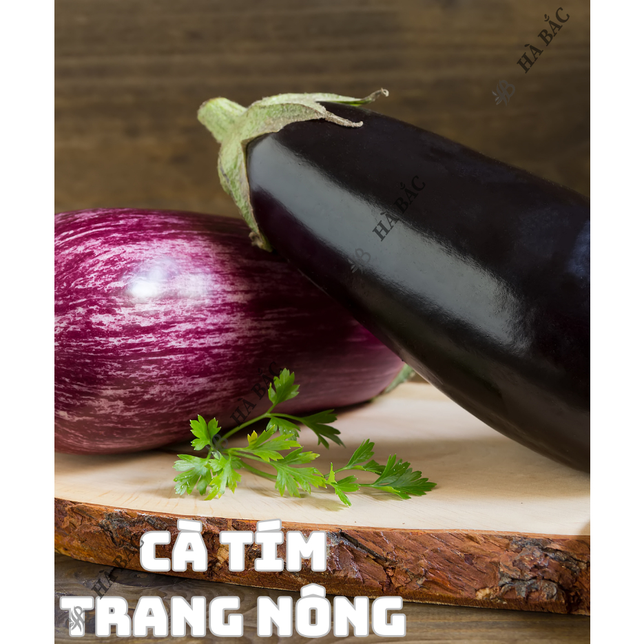 Hạt Giống Các Loại Cà Trang Nông, Siêu Trái, Trái To Tròn, Dài, Sinh Trưởng Mạnh - Hạt Giống Rau Củ Quả Trang Nông