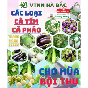 Hạt Giống Các Loại Cà Trang Nông, Siêu Trái, Trái To Tròn, Dài, Sinh Trưởng Mạnh - Hạt Giống Rau Củ Quả Trang Nông