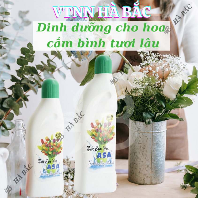 Nước cắm hoa giữ hoa tươi lâu không thối nước ASA - Tiện dụng cho ngày tết (Chai 200ml, 400ml)