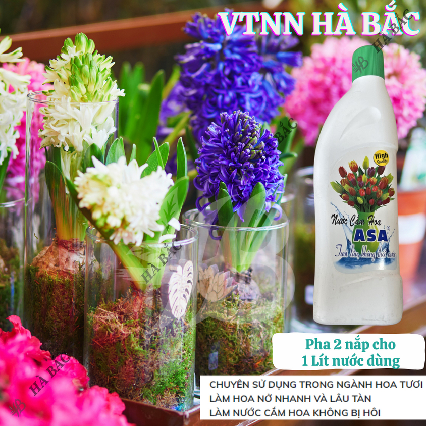 Nước cắm hoa giữ hoa tươi lâu không thối nước ASA - Tiện dụng cho ngày tết (Chai 200ml, 400ml)